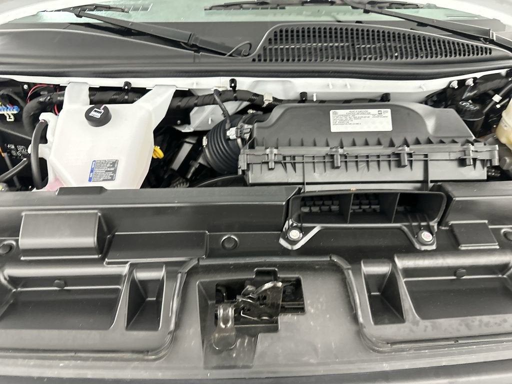 2025 Chevrolet Express Passenger 1LS